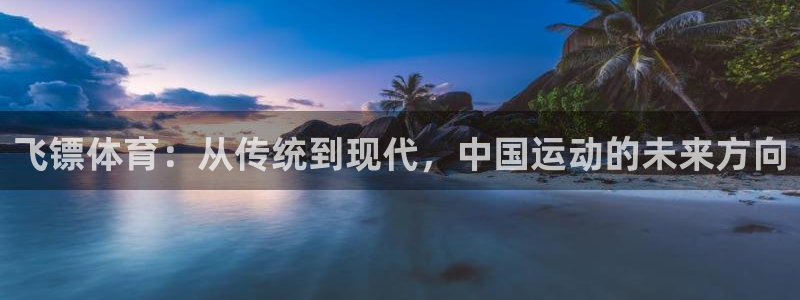 88体育网页版入口最新版：飞镖体育：从传统到现代，中国运动的未来方向