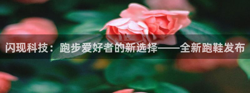 88体育app直播ios：闪现科技：跑步爱好者的新选择——全新跑鞋发布