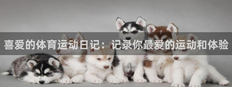 88体育app下载平台：喜爱的体育运动日记：记录你最爱的运动和体验