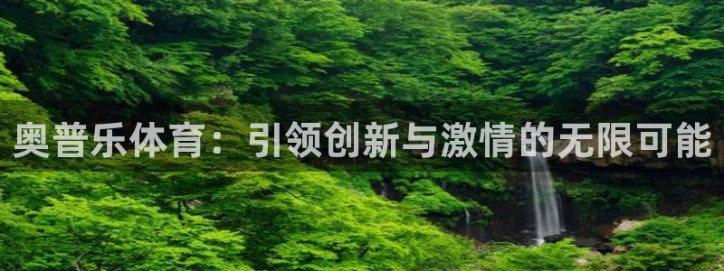 88体育app下载平台：奥普乐体育：引领创新与激情的无限可能