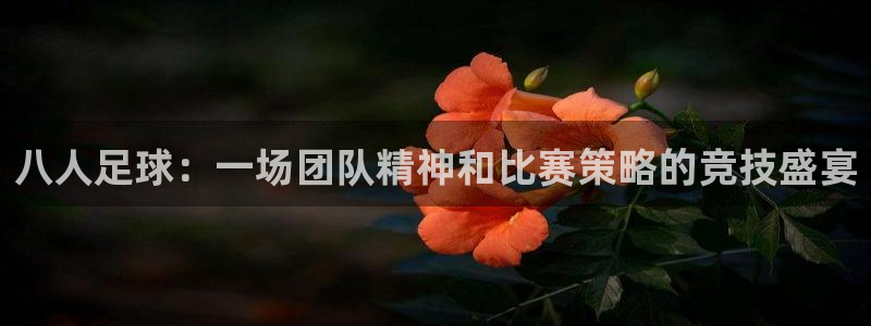 1988体育小镇：八人足球：一场团队精神和比赛策略的竞技盛宴