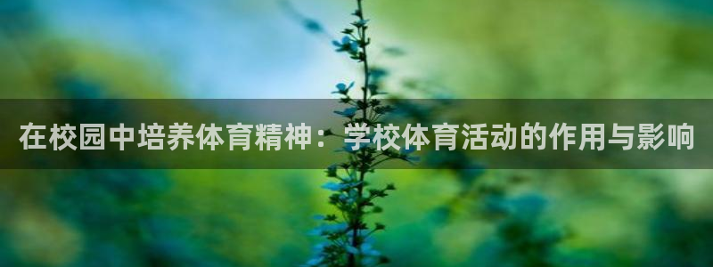 8688体育下载：在校园中培养体育精神：学校体育活动的作用与影响