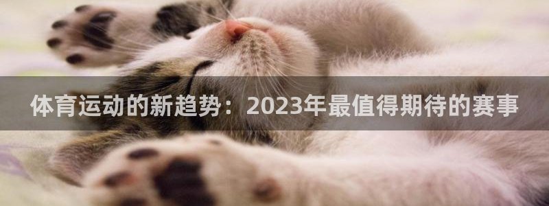 hg888体育：体育运动的新趋势：2023年最值得期待的赛事