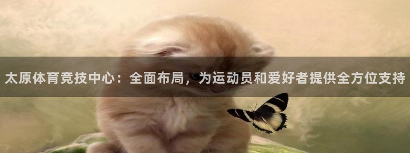 88体育app下载平台：太原体育竞技中心：全面布局，为运动员和爱好者提供全方位支持